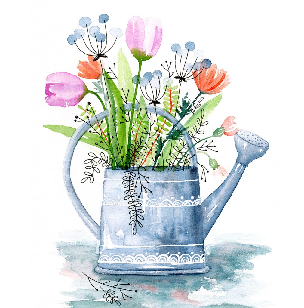 arrosoir et fleurs à l'aquarelle - ipiapia graphiste illustratrice freelance