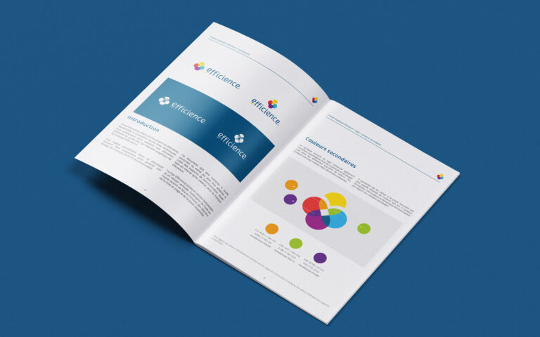 Charte graphique Efficience - graphiste ipiapia