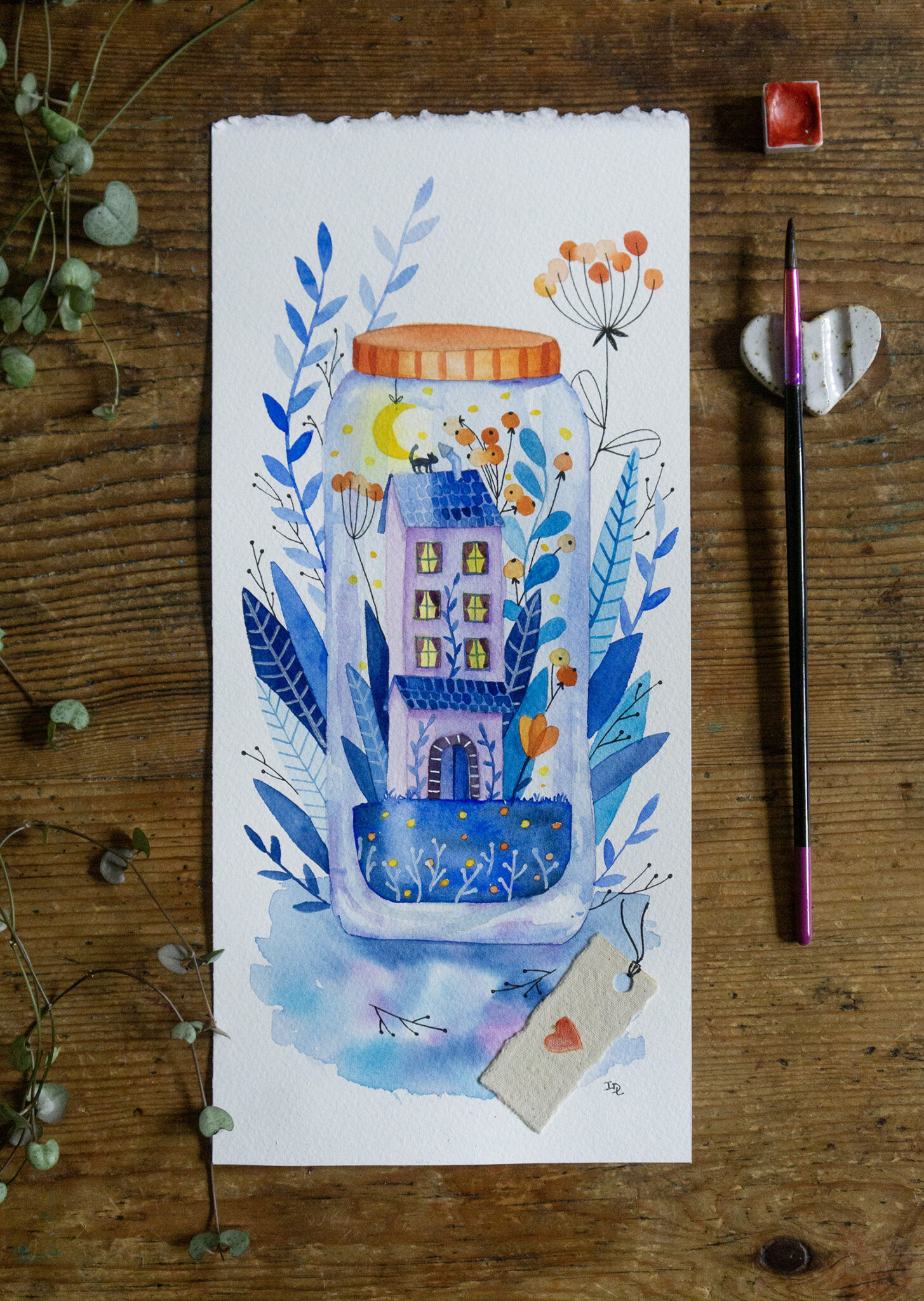 Tirage d'art Renard indien Ipiapia